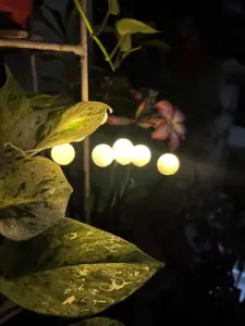 Neo Elect Solar FireFly Light