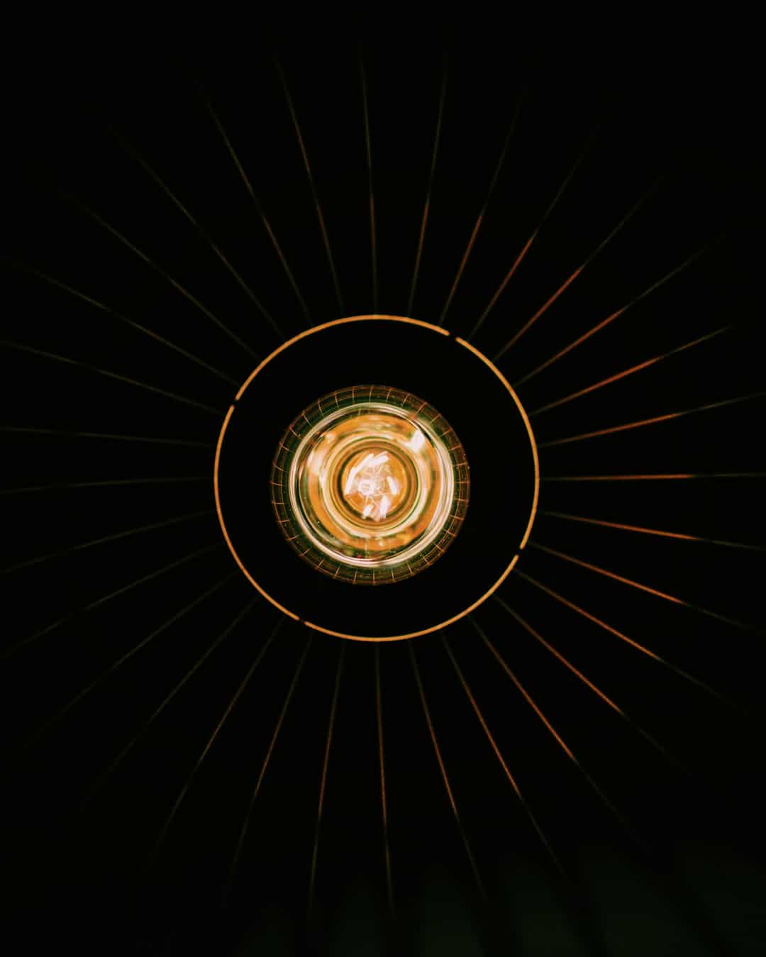 selective focus photo of bulb