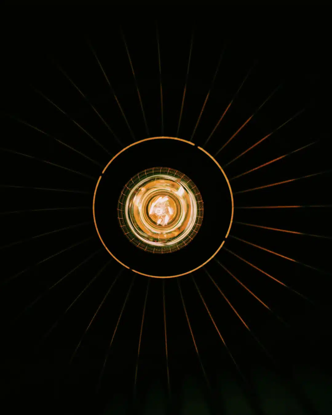 selective focus photo of bulb