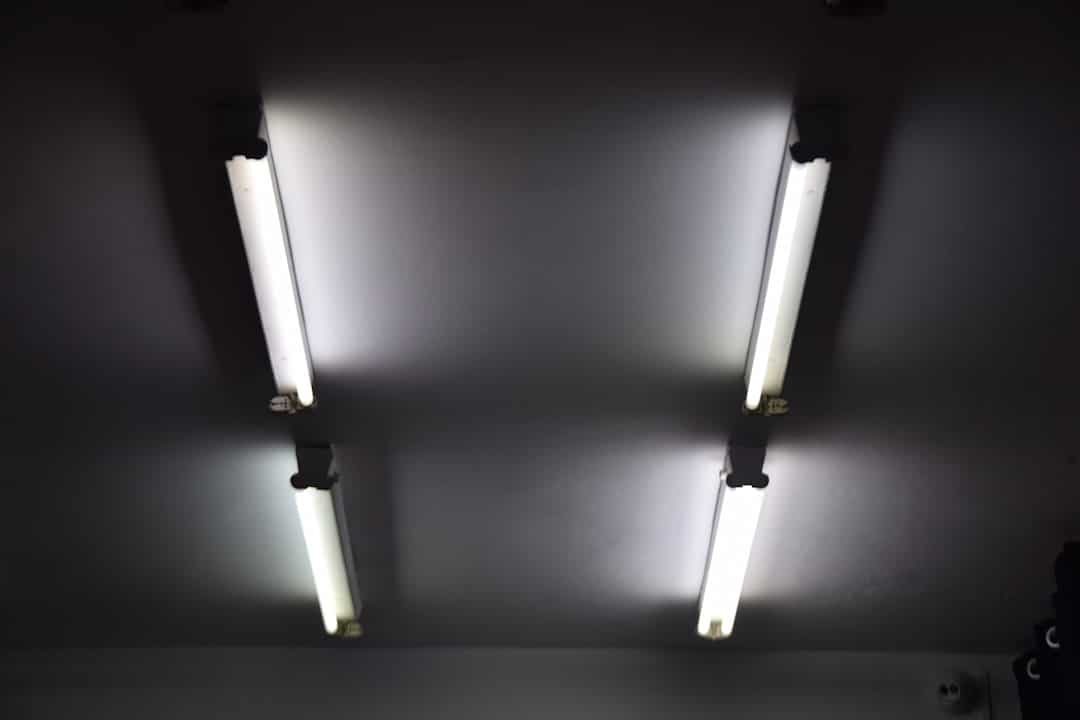 turned on fluorescent bulbs