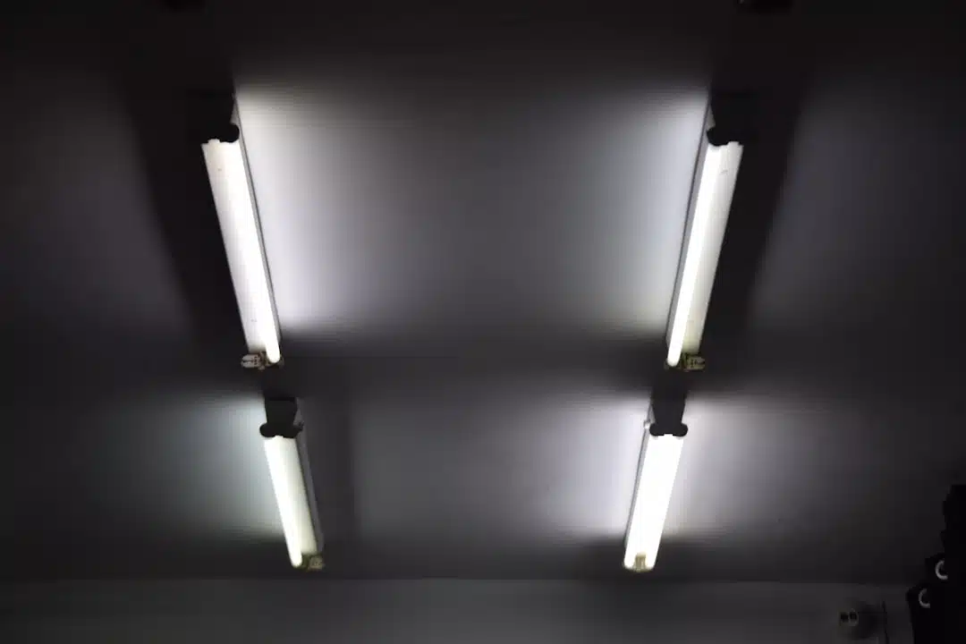 turned on fluorescent bulbs