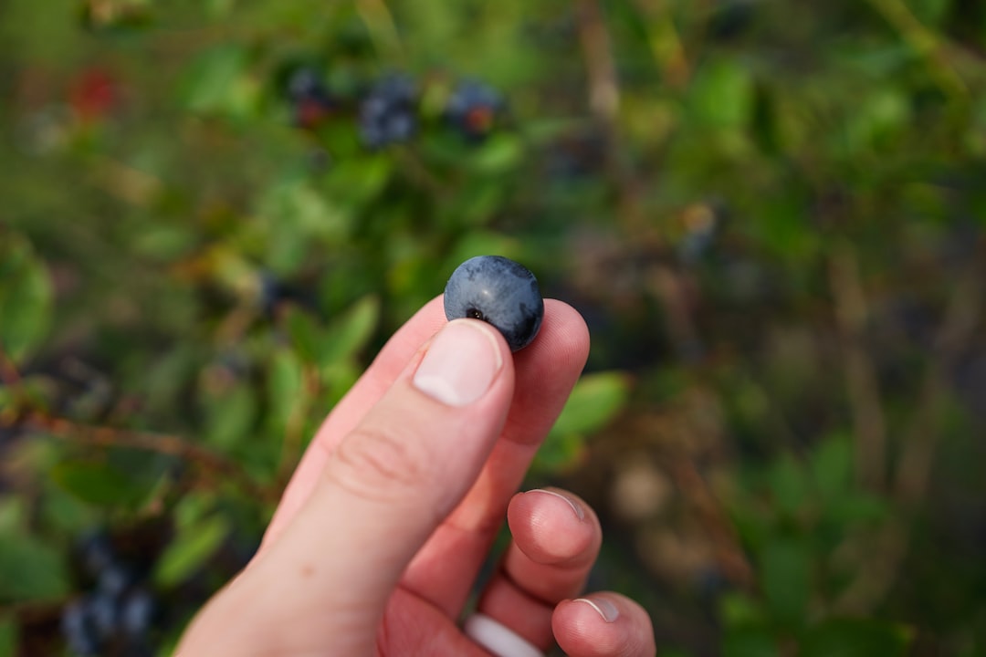 a person holding a tiny object in their hand