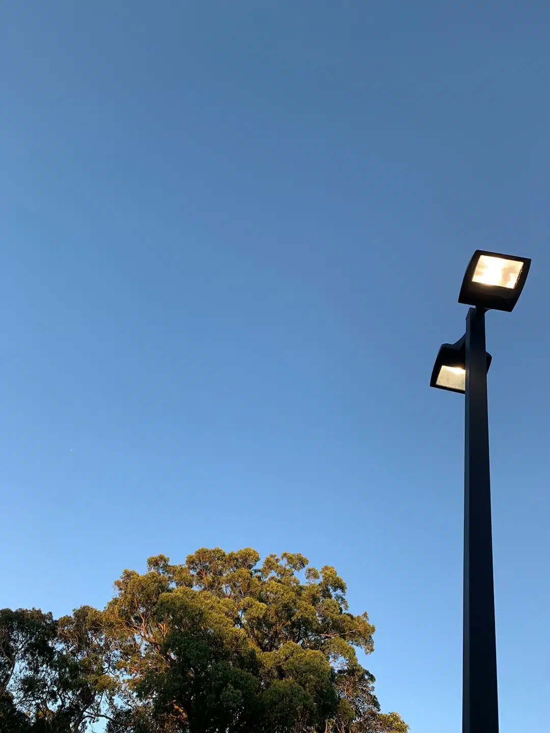 a street light with a tree in the background