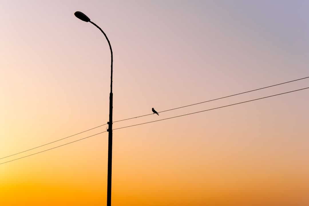 A lamp post silhouetted against a colorful sky.
