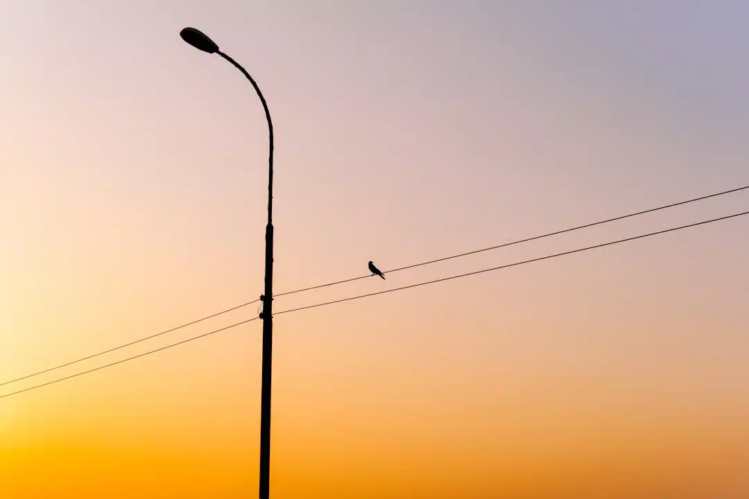 A lamp post silhouetted against a colorful sky.