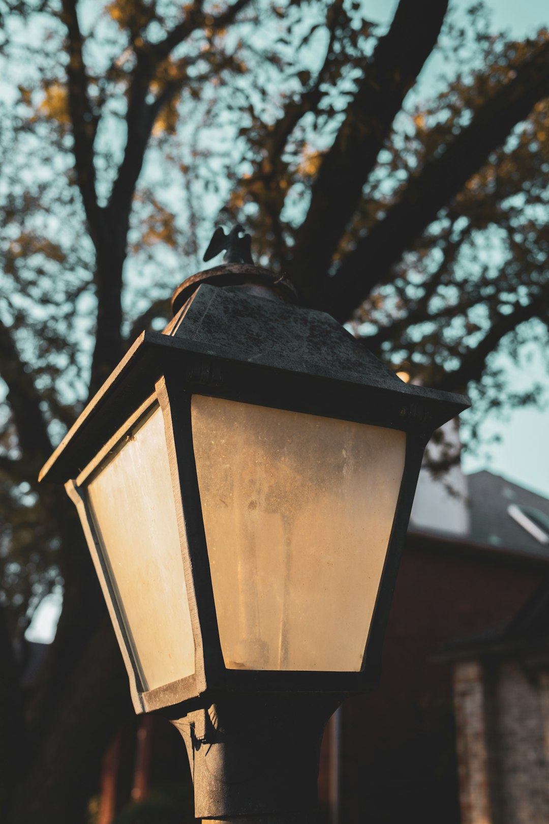 A weathered lamp post stands beneath a tree.