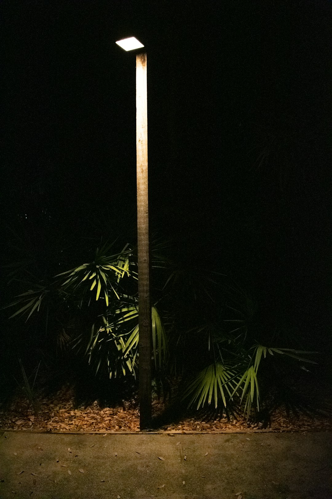 A lit street lamp illuminates the night.